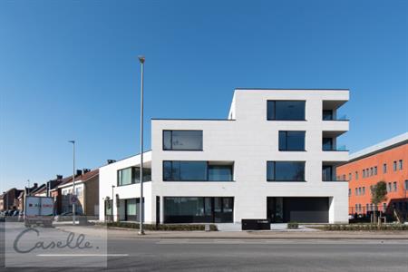 Project te koop Sint-Michiels