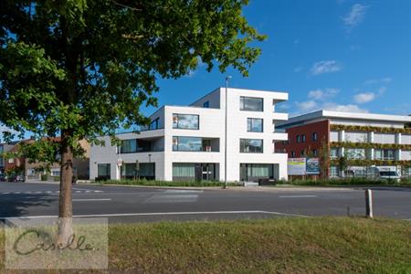 Project Te koop Sint-Michiels