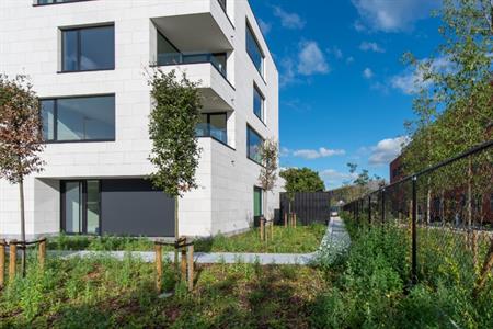 Appartement Te koop Sint-Michiels